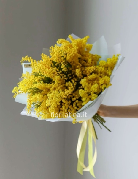 Bouquet di mimosa | Festa della Donna