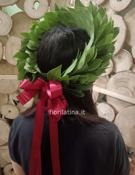 Coroncina di alloro x laurea 300 foglie